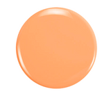 The Climate Collection (Light Orange Bundle)