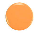 The Climate Collection (Light Orange Bundle)