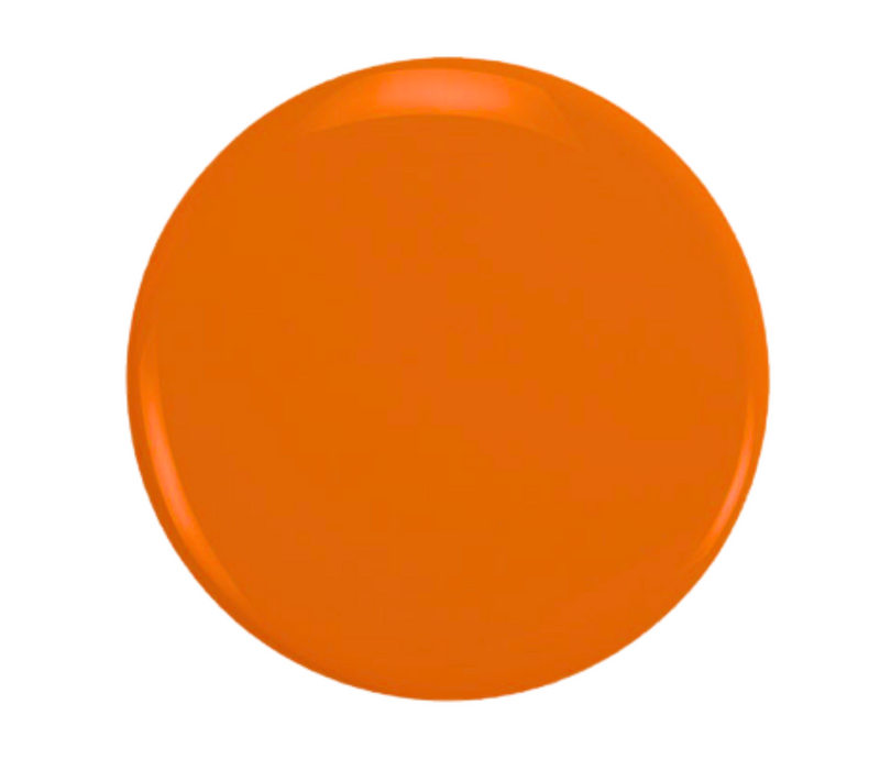 The Climate Collection (Dark Orange Bundle)