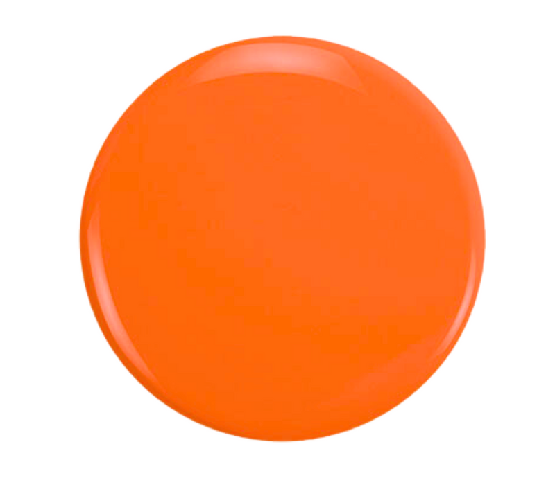 The Climate Collection (Light Orange Bundle)